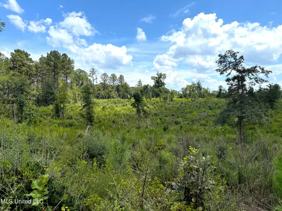 Cd Rayborn Rd Road, Jayess, MS 39641 - Image #2