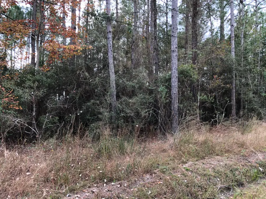 163 Tate Street, Bay Saint Louis, MS 39520 - Image #3