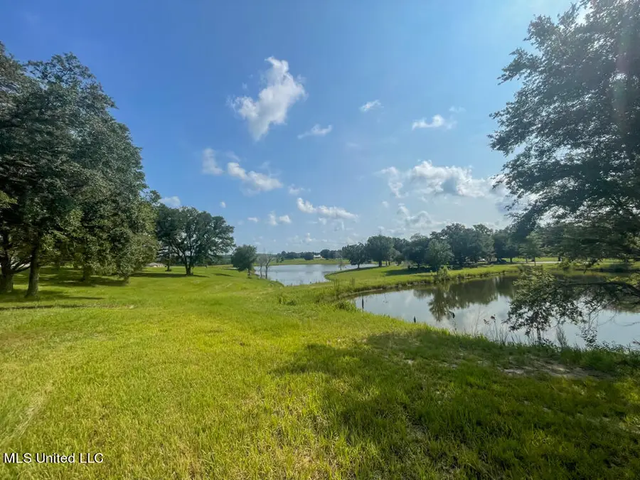 Lot 9 Conner Stringer Drive, Lucedale, MS 39452 - Image #2