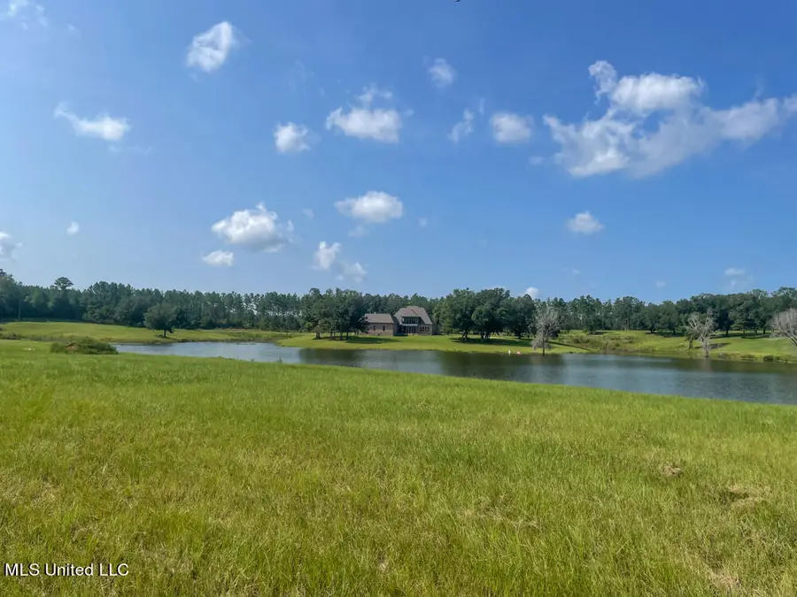 Lot 10 Conner Stringer Drive, Lucedale, MS 39452 - Image #2