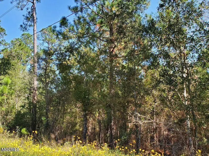 Lots 2-3 Tigris Street, Bay Saint Louis, MS 39520 - Image #2