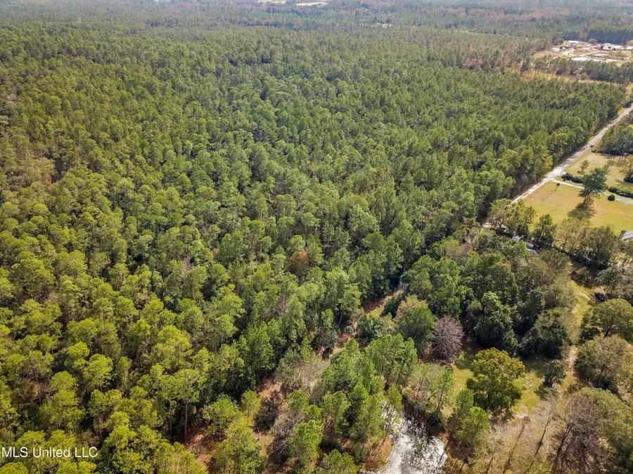 0 Box Road, Vancleave, MS 39565 - Image #3