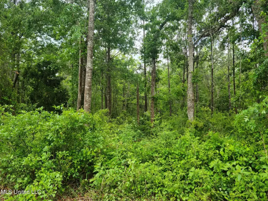 00 Fountainbleau Road, Ocean Springs, MS 39564 - Image #3