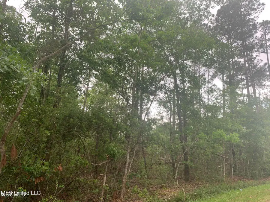 0 Kiln Waveland Cutoff Road, Bay Saint Louis, MS 39520 - Image #3