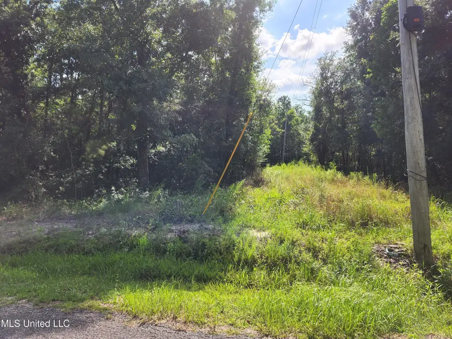 10019 Oliver Street, Bay Saint Louis, MS 39520 - Image #2