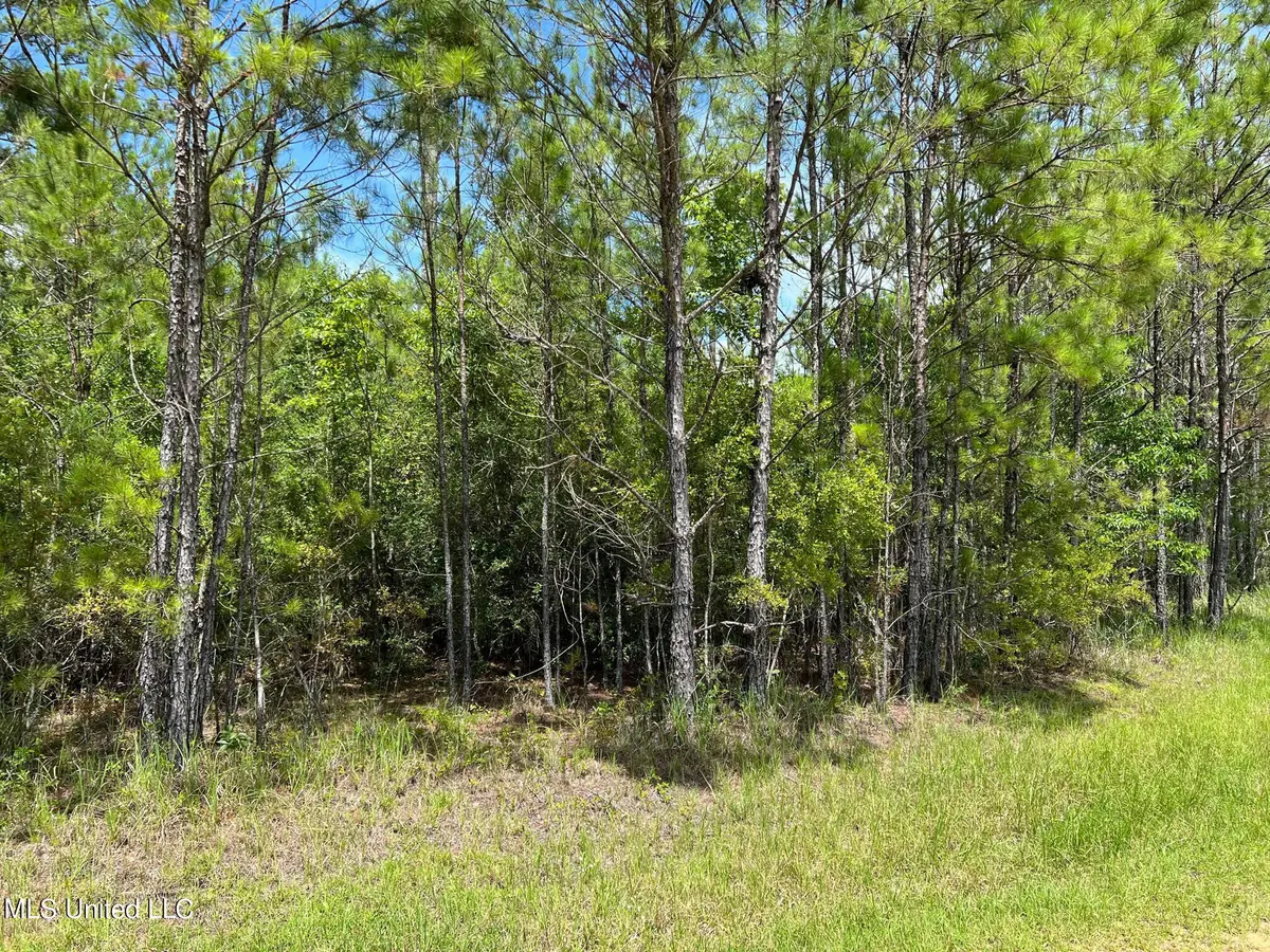 Lot 111 River Place, Vancleave, MS 39565 - Image #1