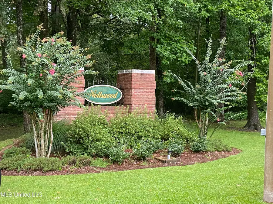 0 Emily Way Drive, Raymond, MS 39154 - Image #2