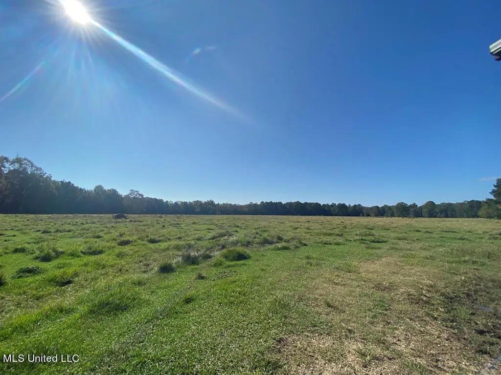 260 N Mitchel Chappel Road, Poplarville, MS 39470 - Image #1