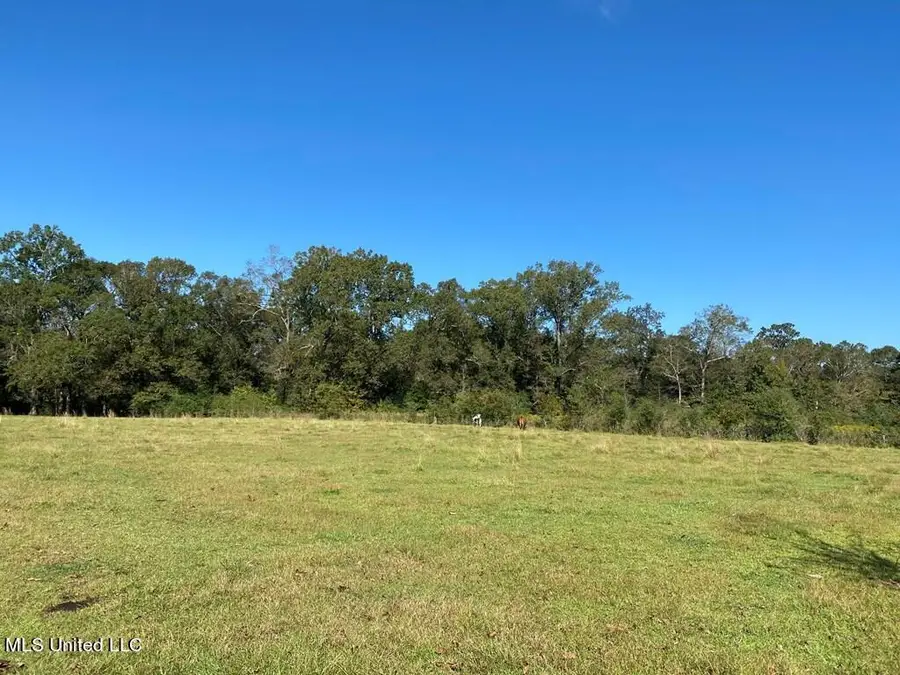 260 N Mitchel Chappel Road, Poplarville, MS 39470 - Image #2