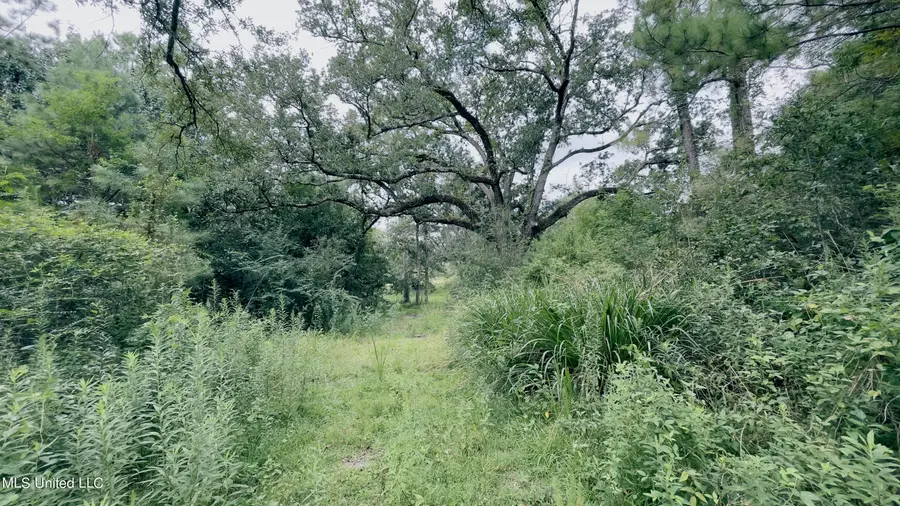 6603 Omaha Street, Biloxi, MS 39532 - Image #3