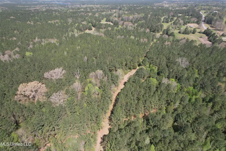 Hwy 43, Kosciusko, MS 39090 - Image #2