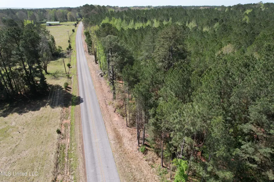 Hwy 43, Kosciusko, MS 39090 - Image #3