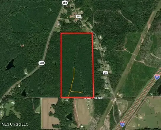 Co Rd 5033, Heidelberg, MS 39439 - Image #2