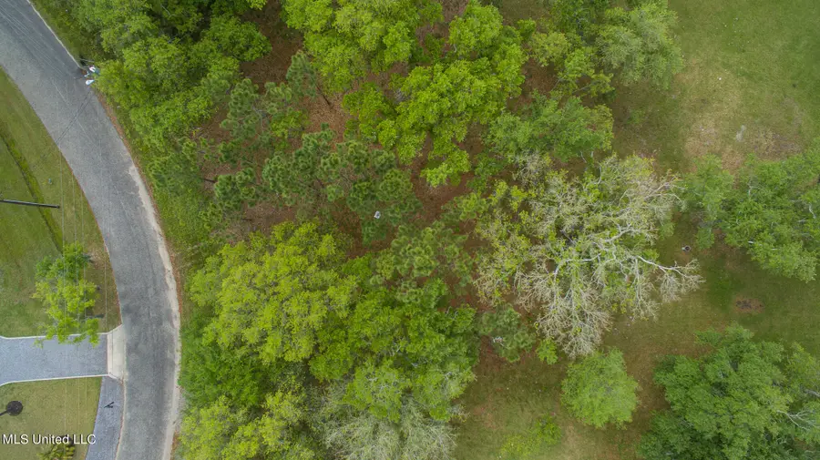 Lot 32 Basswood, Pass Christian, MS 39571 - Image #3