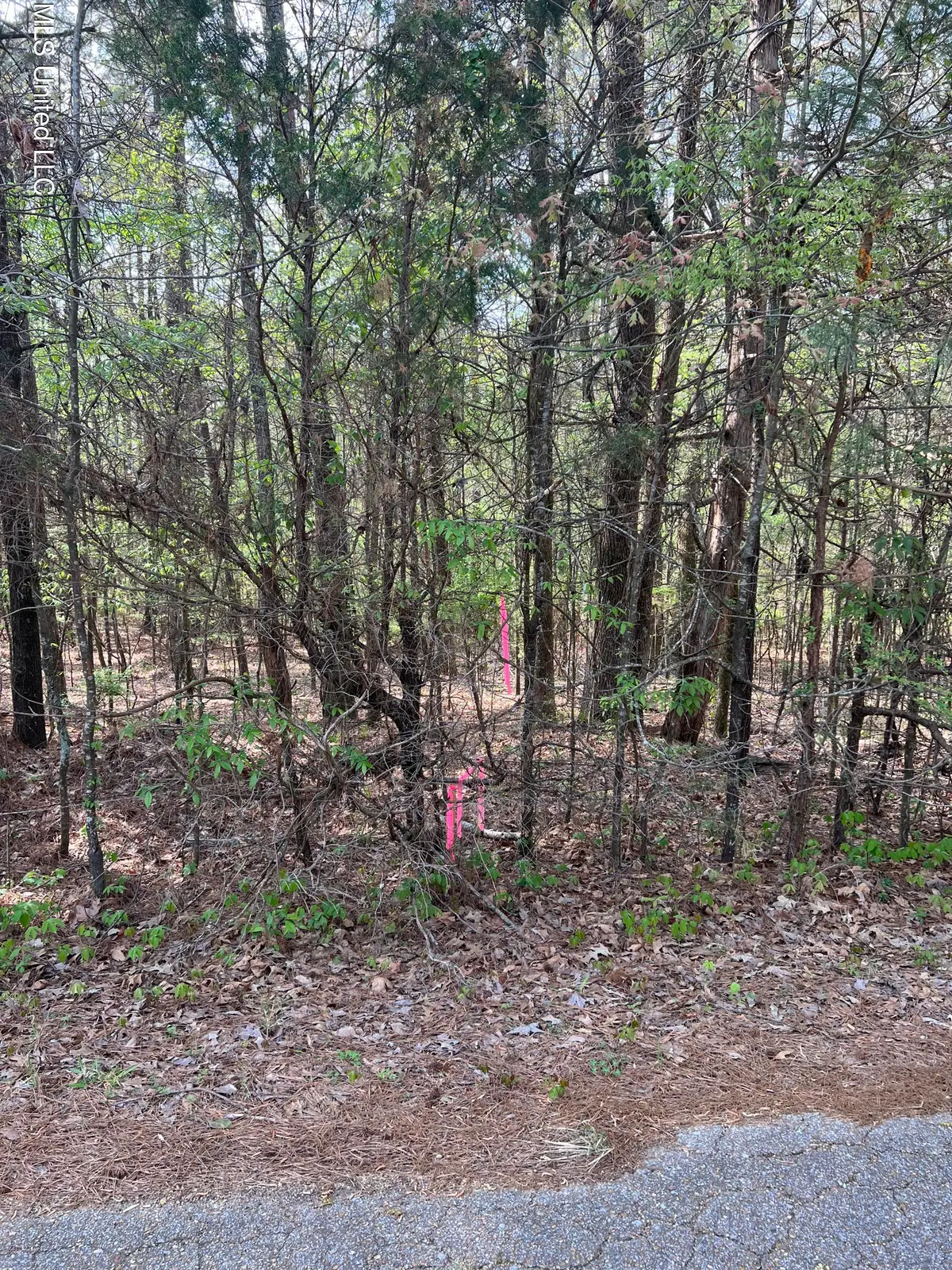 0 Hardy Road, Madison, MS 39110 - #1