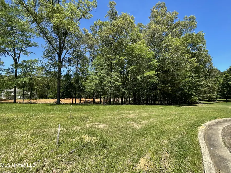 Lot 4 Chantilly Drive, Madison, MS 39110 - Image #3