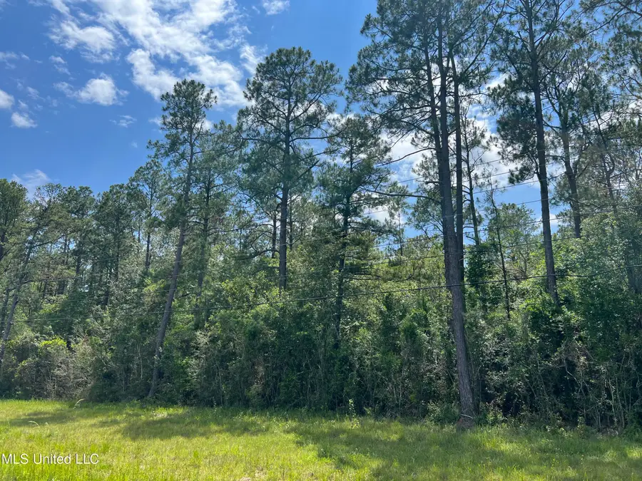 Highway 63, Moss Point, MS 39562 - #2