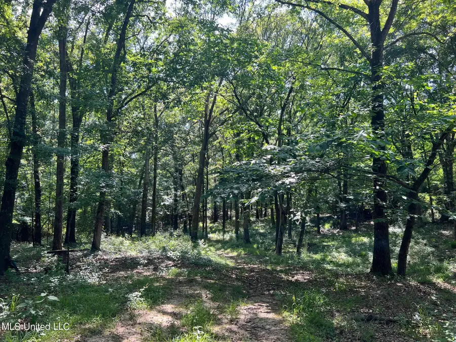 N Livingston Road, Madison, MS 39110 - Image #3