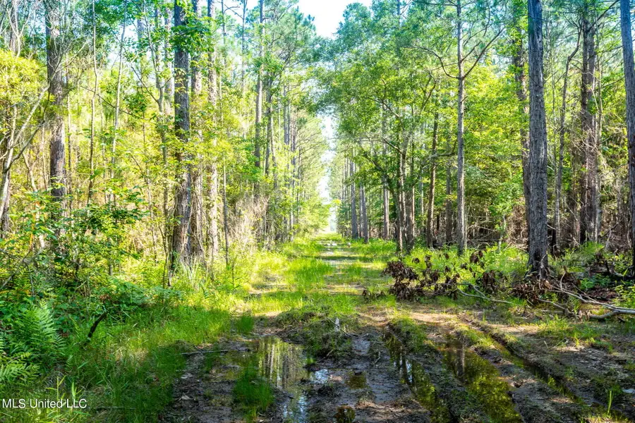 0 Lower Bay Road, Bay Saint Louis, MS 39520 - Image #3