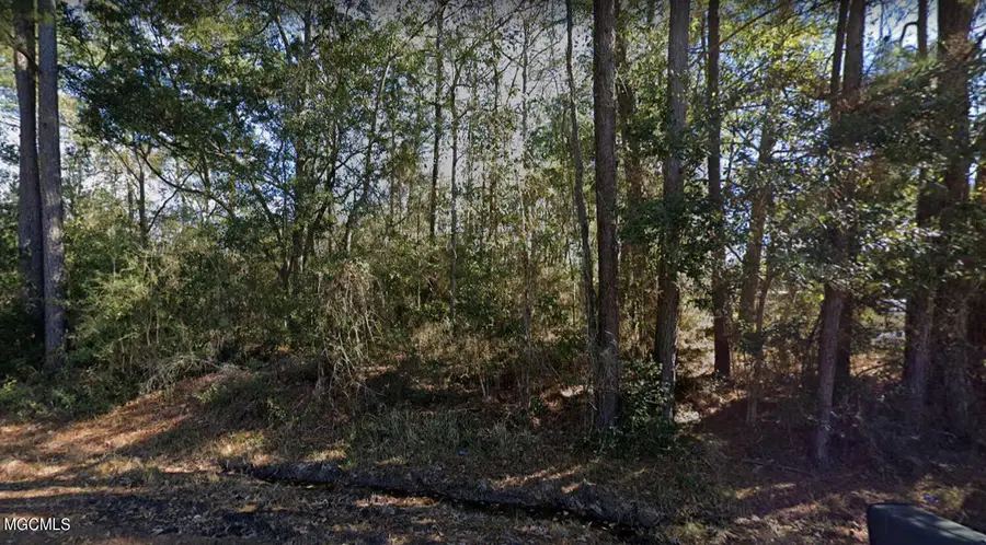 N Tampa Drive, Pearlington, MS 39572 - Image #3