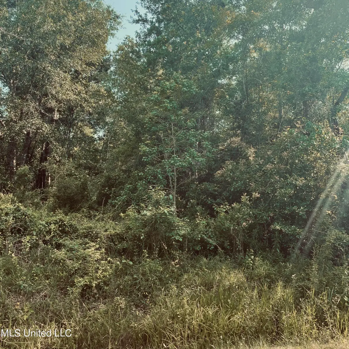 Lots 19&20 East Adams Street, Bay Saint Louis, MS 39520 - Image #1