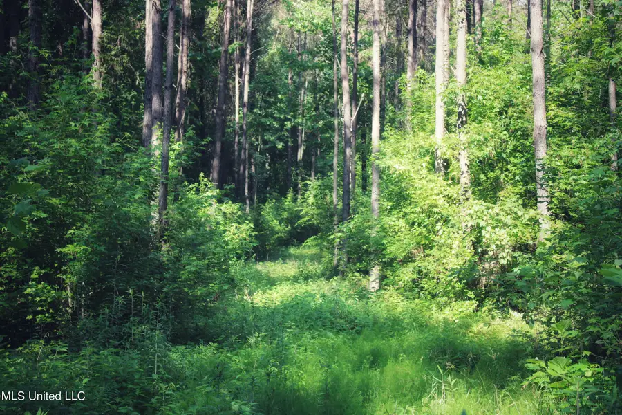 County Road 227, Coffeeville, MS 38922 - Image #3