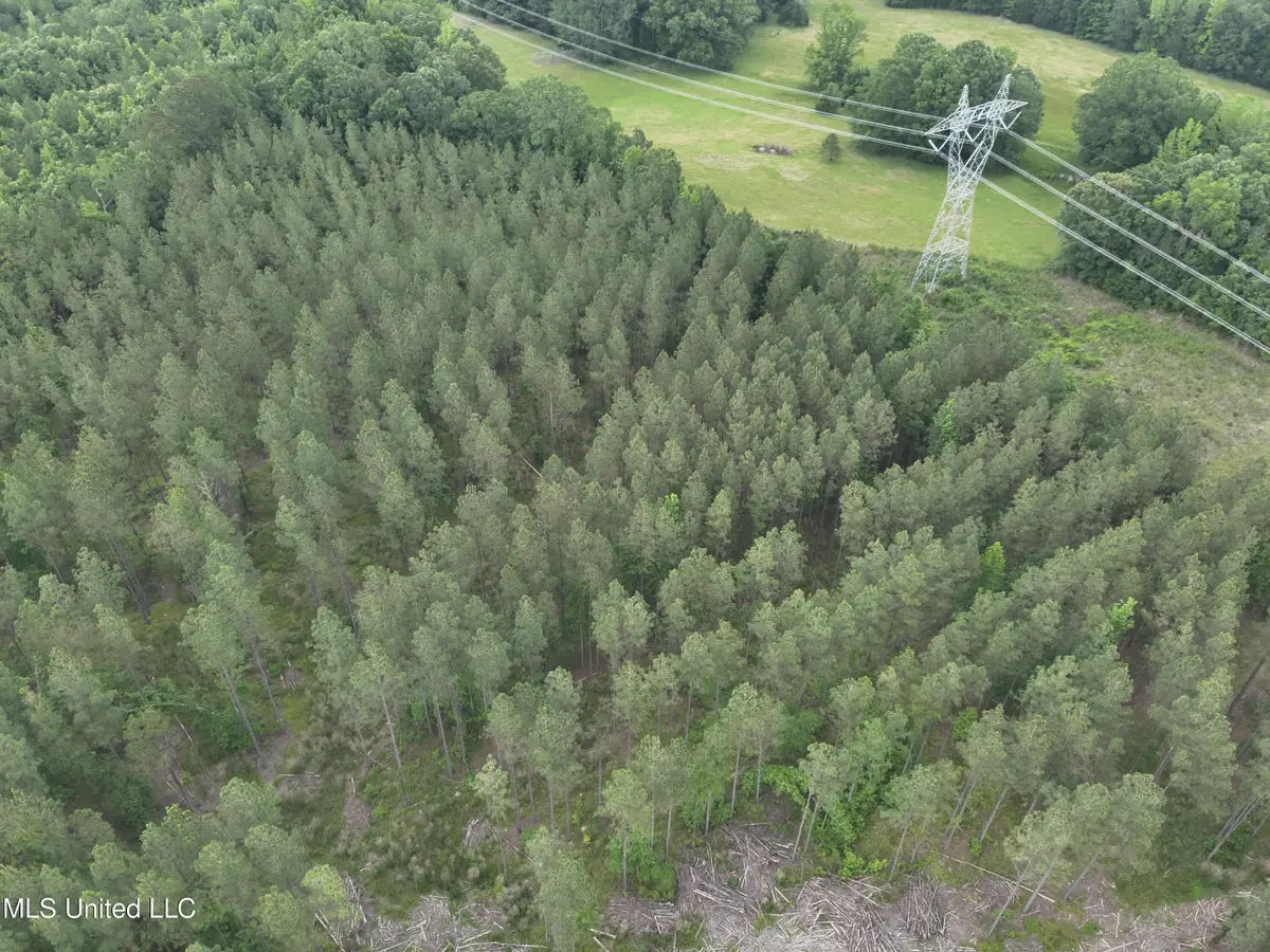 Hwy 429, Sallis, MS 39160 - Image #1