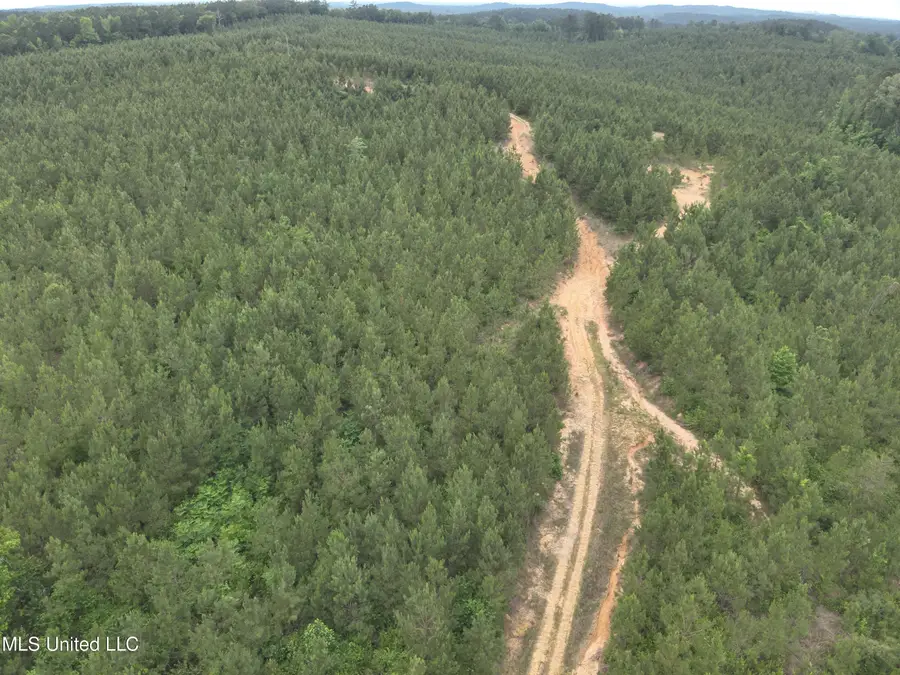 Old Pickens Rd Road, Kosciusko, MS 39090 - Image #2