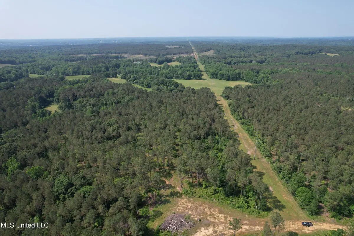 County Rd 323, Taylor, MS 38673 - Image #1
