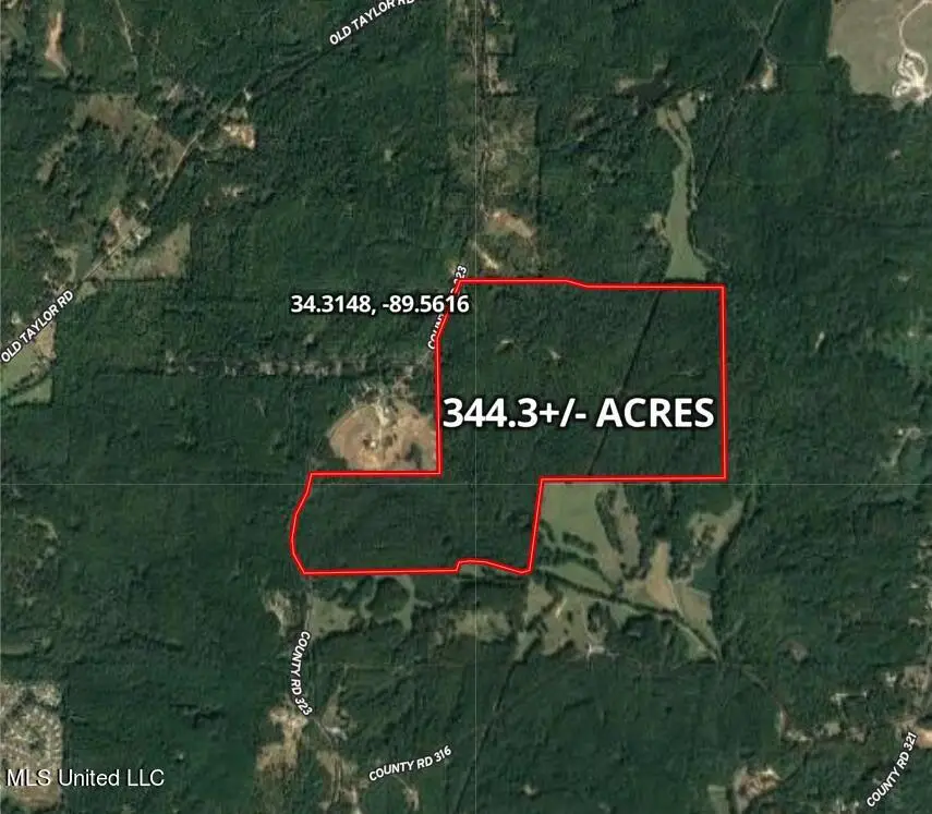 County Rd 323, Taylor, MS 38673 - Image #3