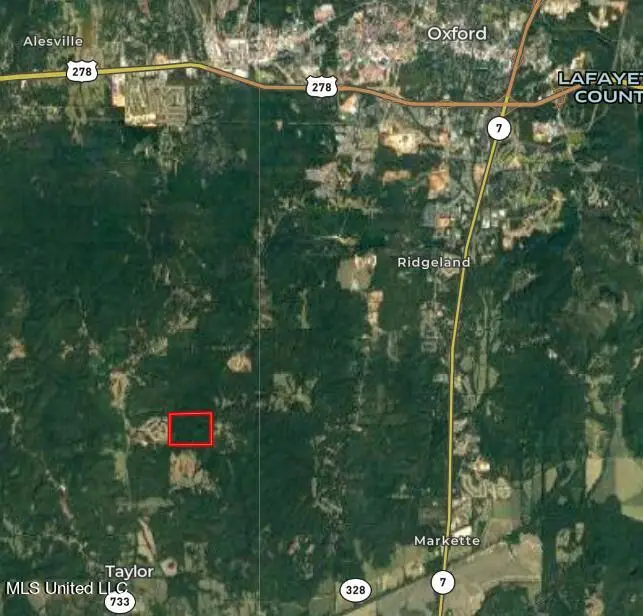 Taylor Rd Road, Taylor, MS 38673 - Image #2