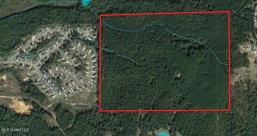 Taylor Rd Road, Taylor, MS 38673 - Image #3