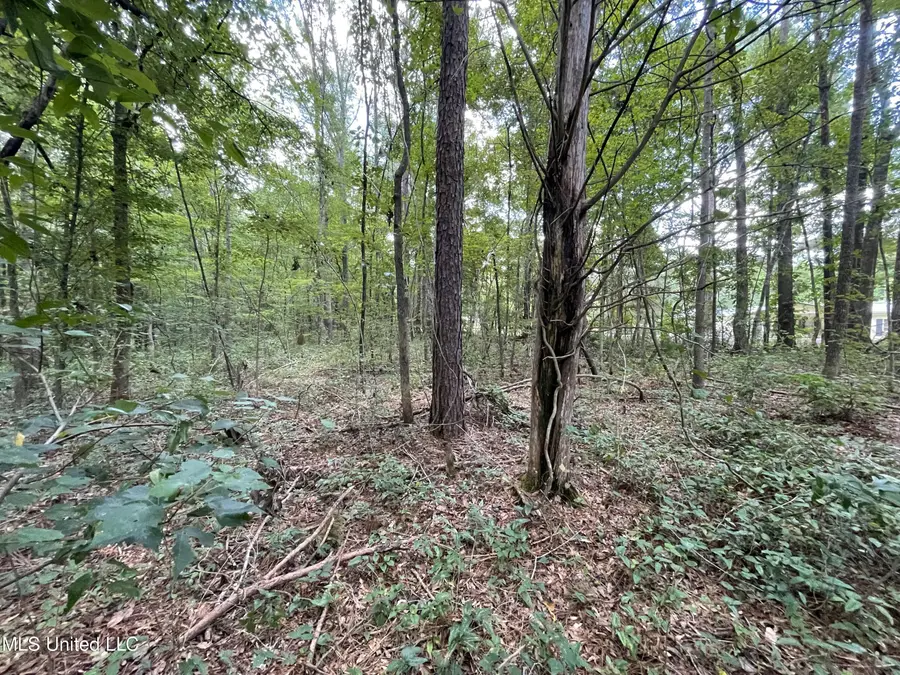 Eastside Drive, Newton, MS 39345 - Image #3