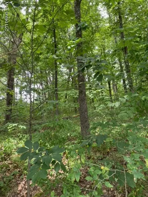 8722 Bob White Drive, Hernando, MS 38632