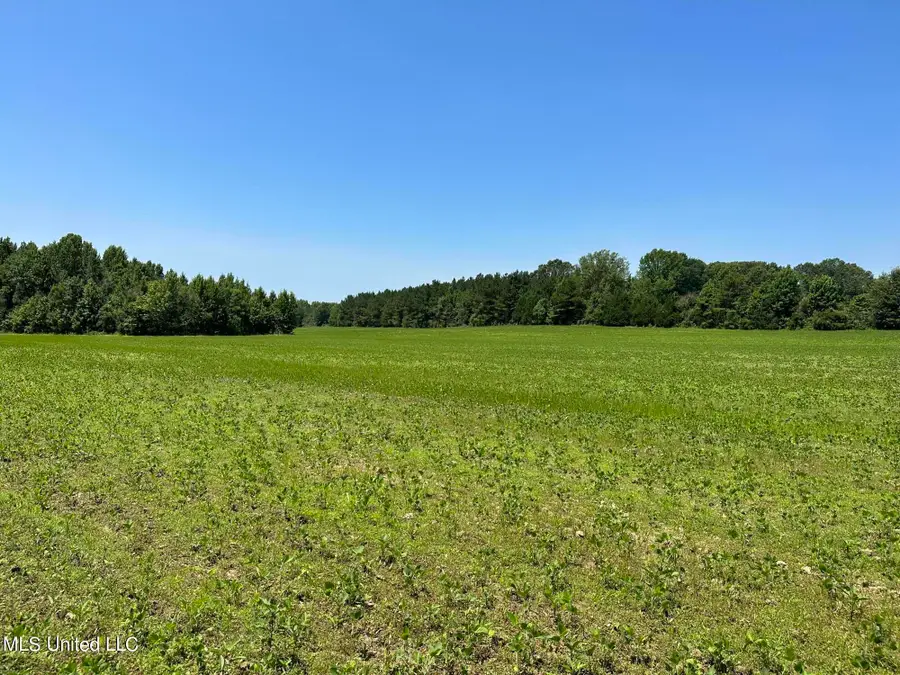 03 Springridge Road, Raymond, MS 39154 - Image #2