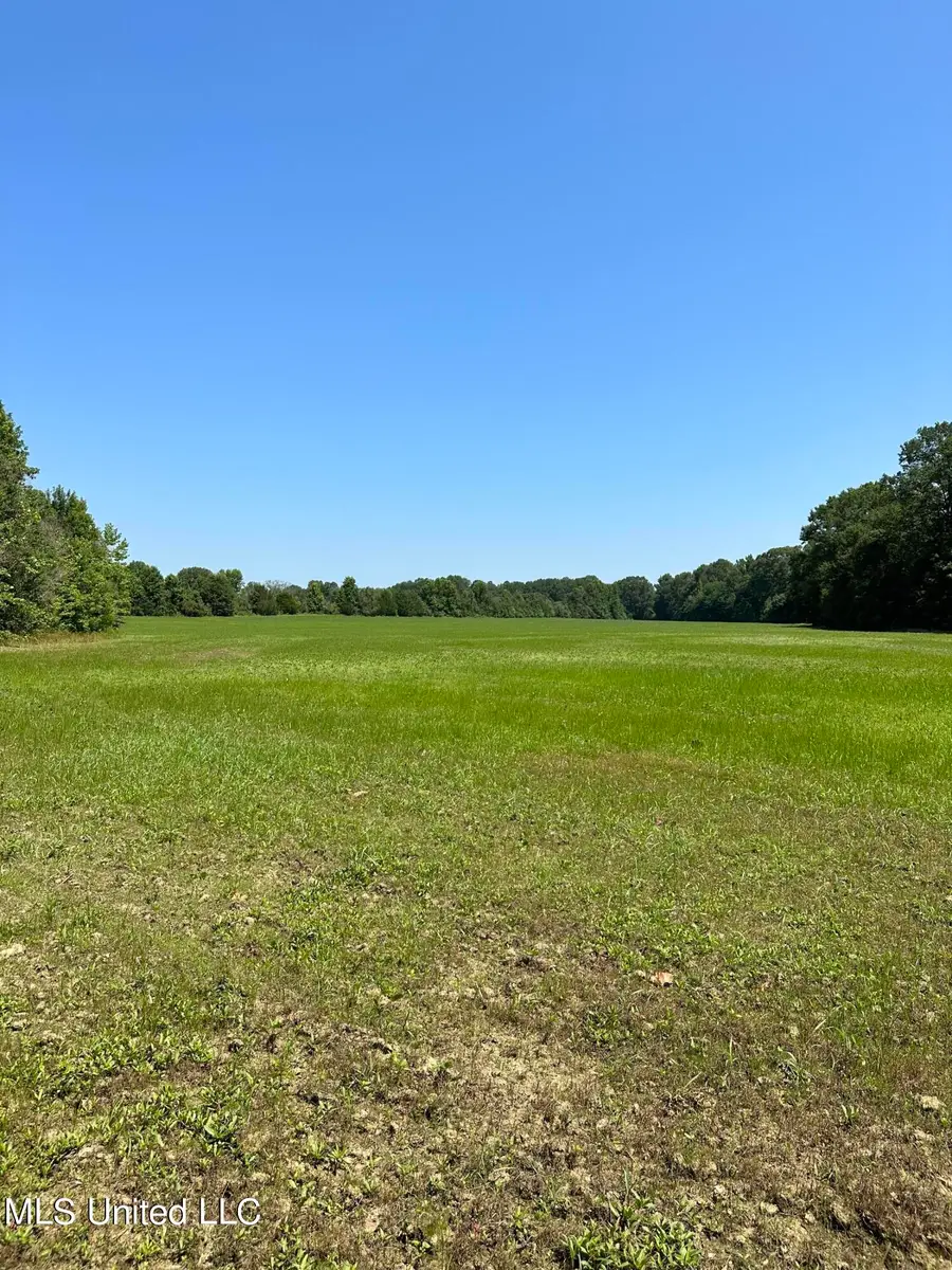 03 Springridge Road, Raymond, MS 39154 - Image #3