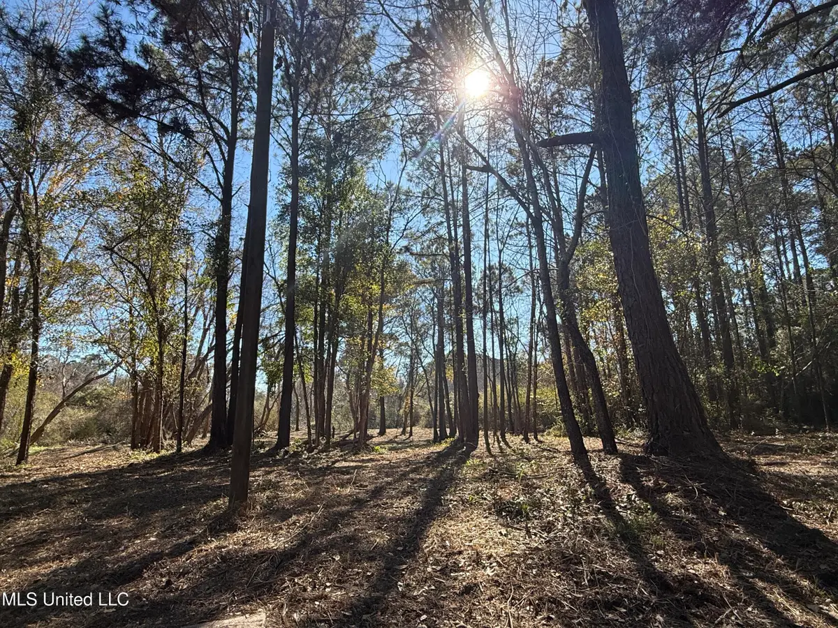 0000 Pabst Road, Ocean Springs, MS 39564 - #1