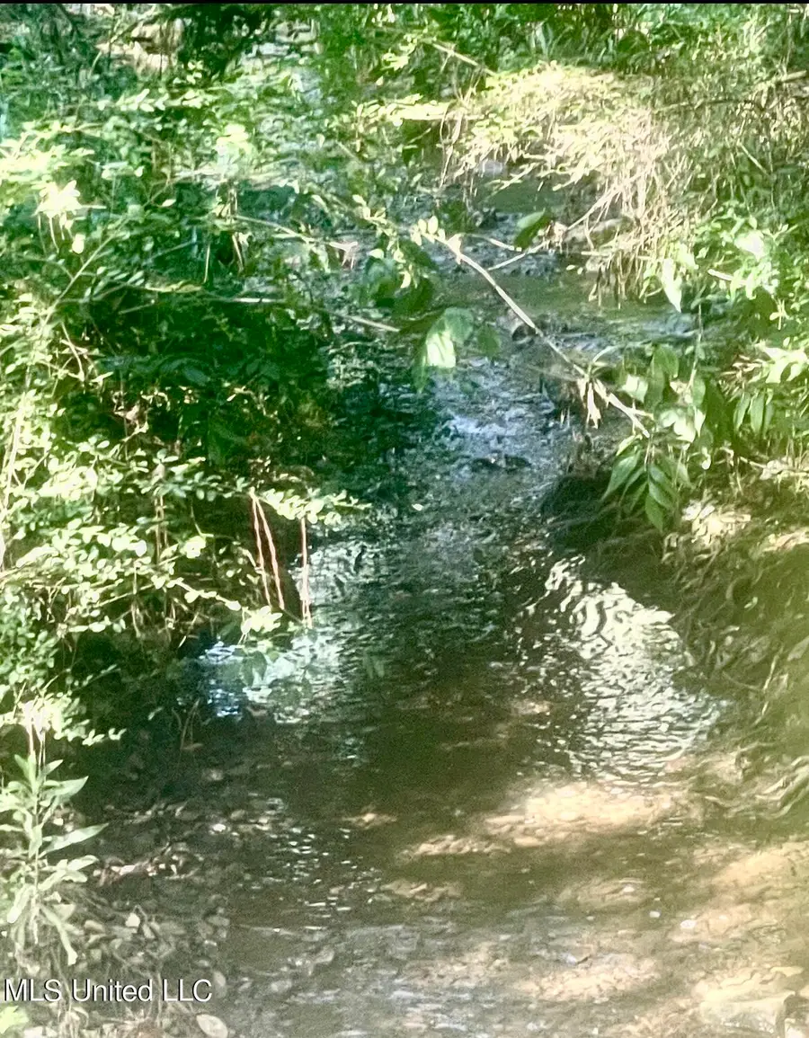 0000 Pabst Road, Ocean Springs, MS 39564 - #2