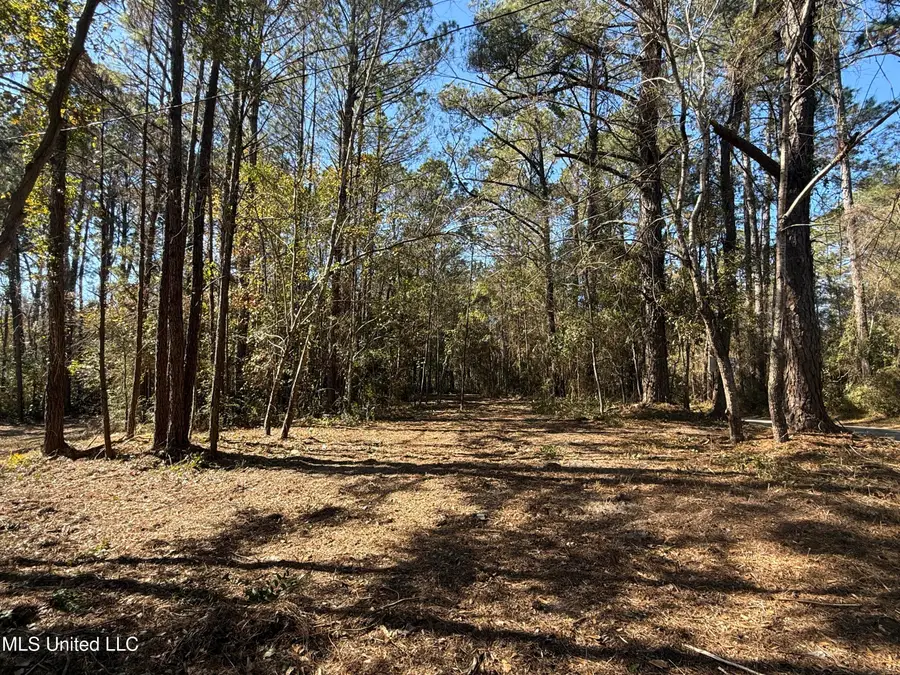 0000 Pabst Road, Ocean Springs, MS 39564 - #3