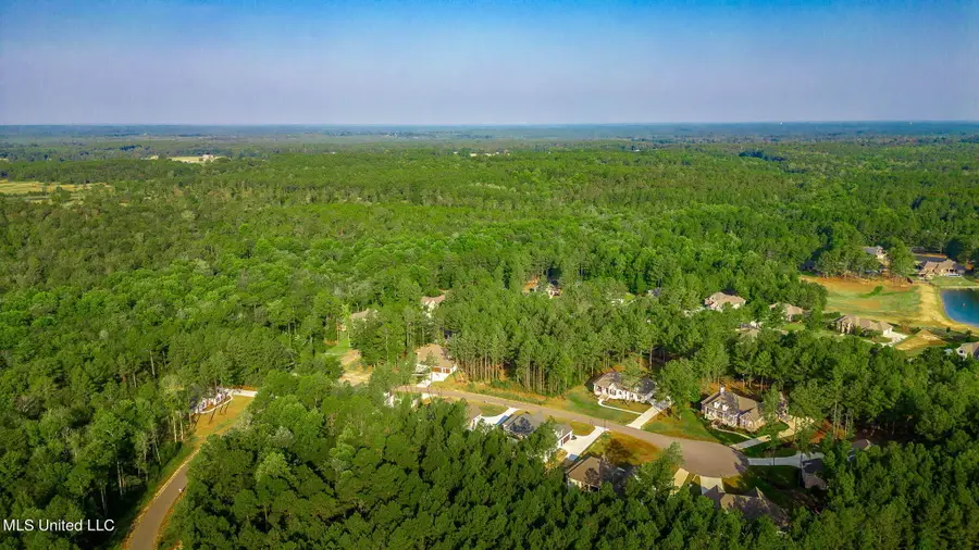 51 Ac +/- Refuge Lane, Hattiesburg, MS 39402 - Image #2