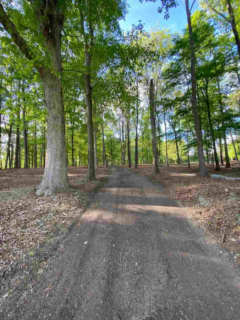 E Franklin Street, Carthage, MS 39051 - Image #1