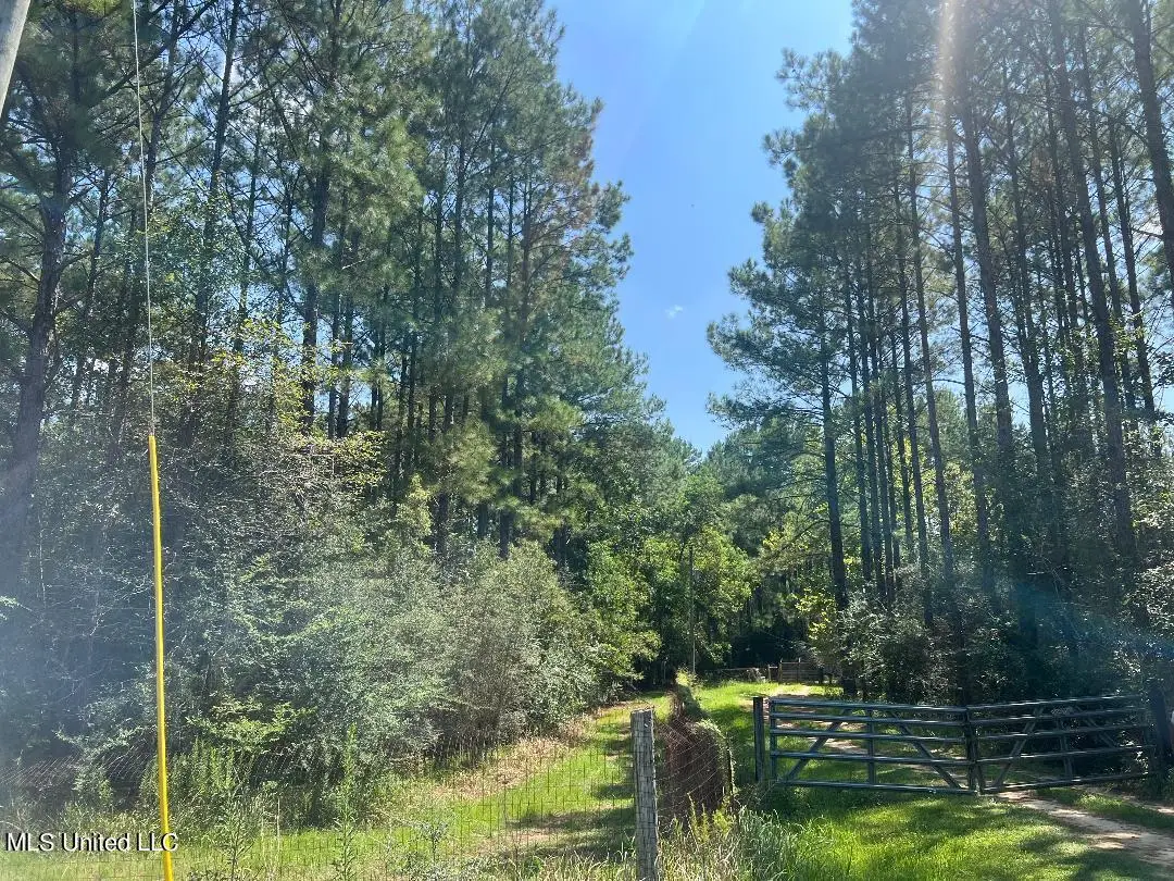 Nhn Old Biloxi Rd, Ocean Springs, MS 39565 - Image #1