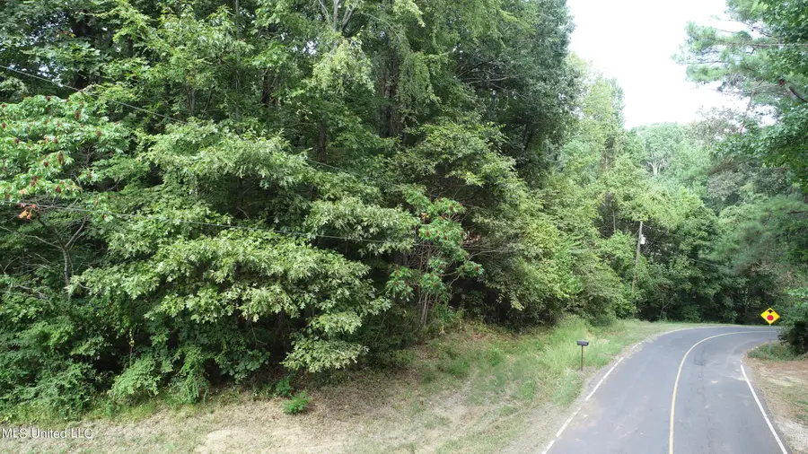 11015 Horseshoe Bend, Hernando, MS 38632 - Image #2