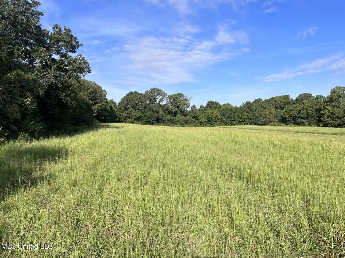 8 Dean Road, Lake Cormorant, MS 38641 - Image #1