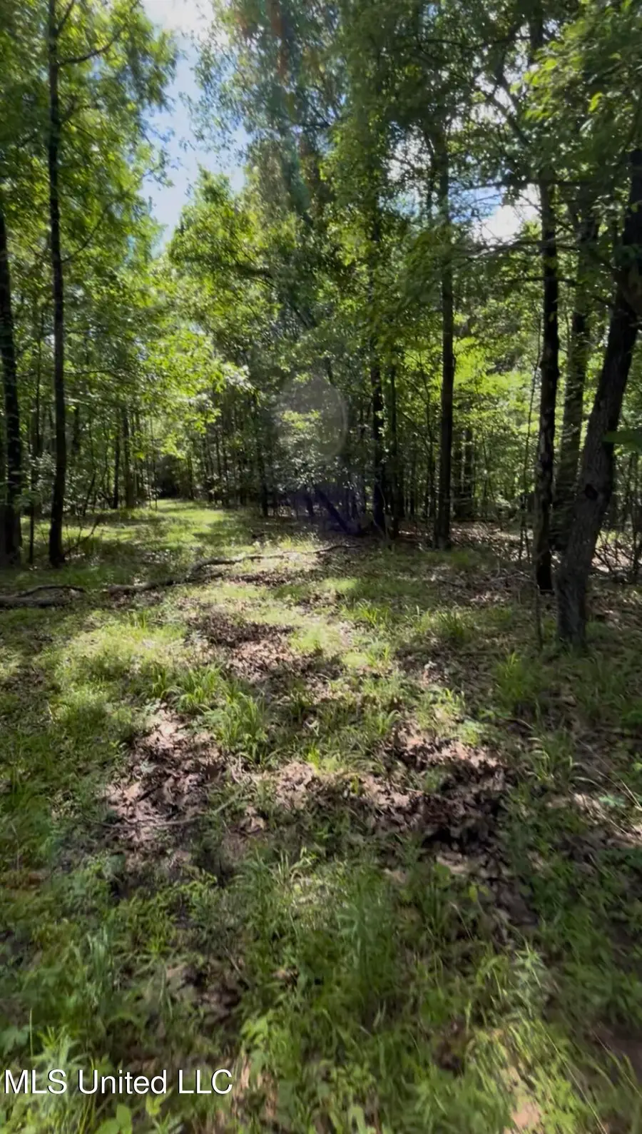 5135 S Hwy 51, Hernando, MS 38632 - Image #2