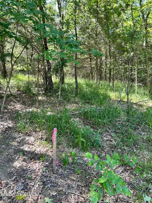 5157 S Hwy 51, Hernando, MS 38632