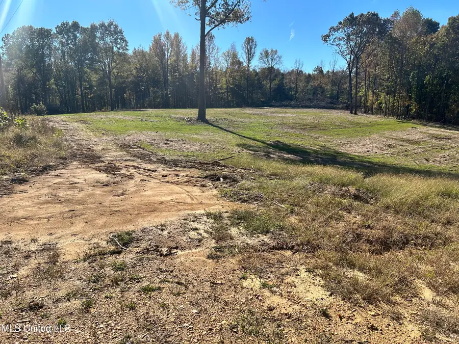 5163 S Hwy 51, Hernando, MS 38632 - #2