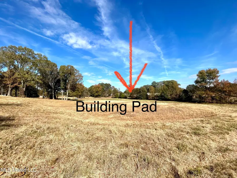 4771 W Oak Grove Road, Hernando, MS 38632 - Image #3