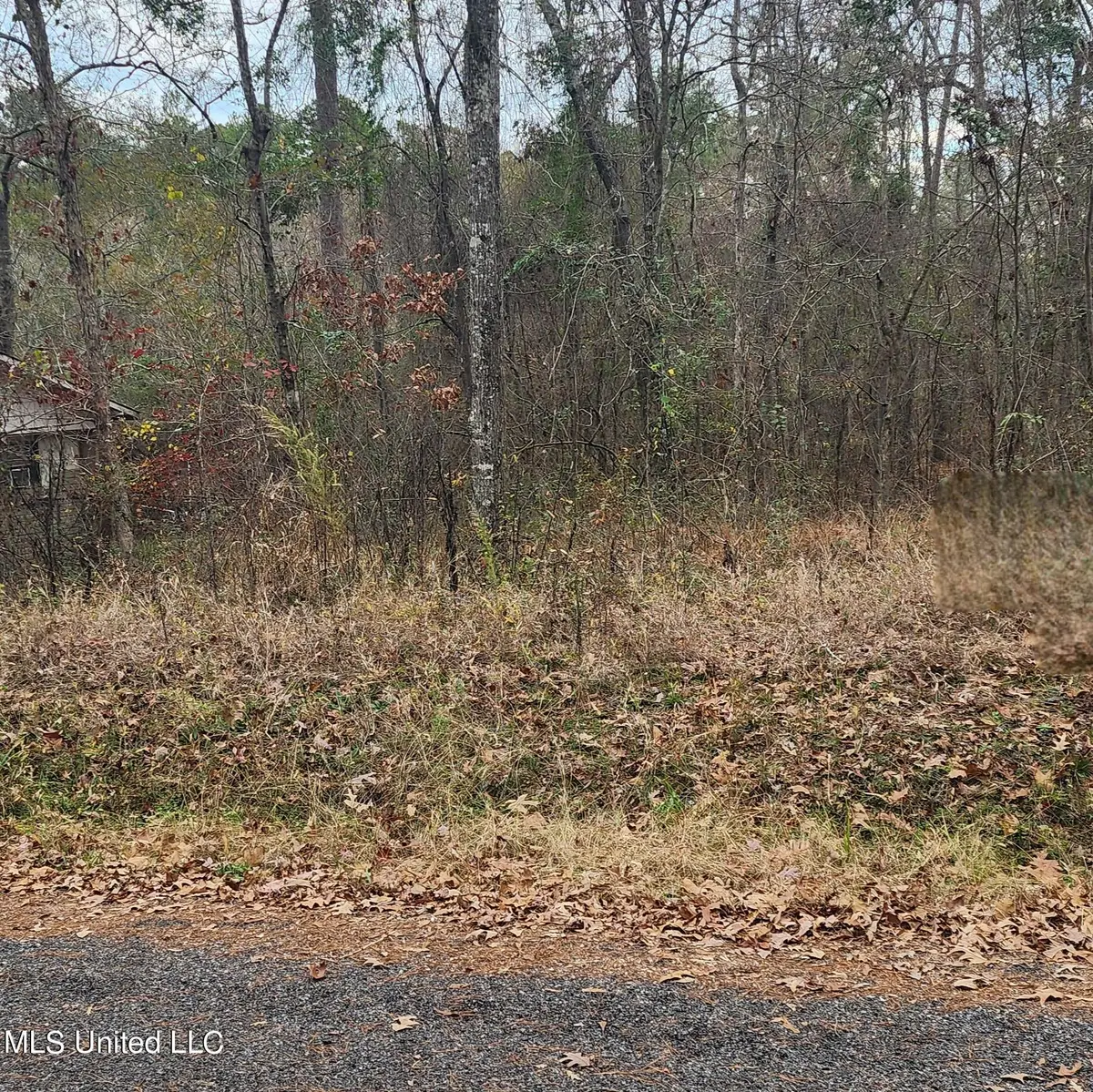0 Nottingham Rd, Brandon, MS 39042 - Image #1