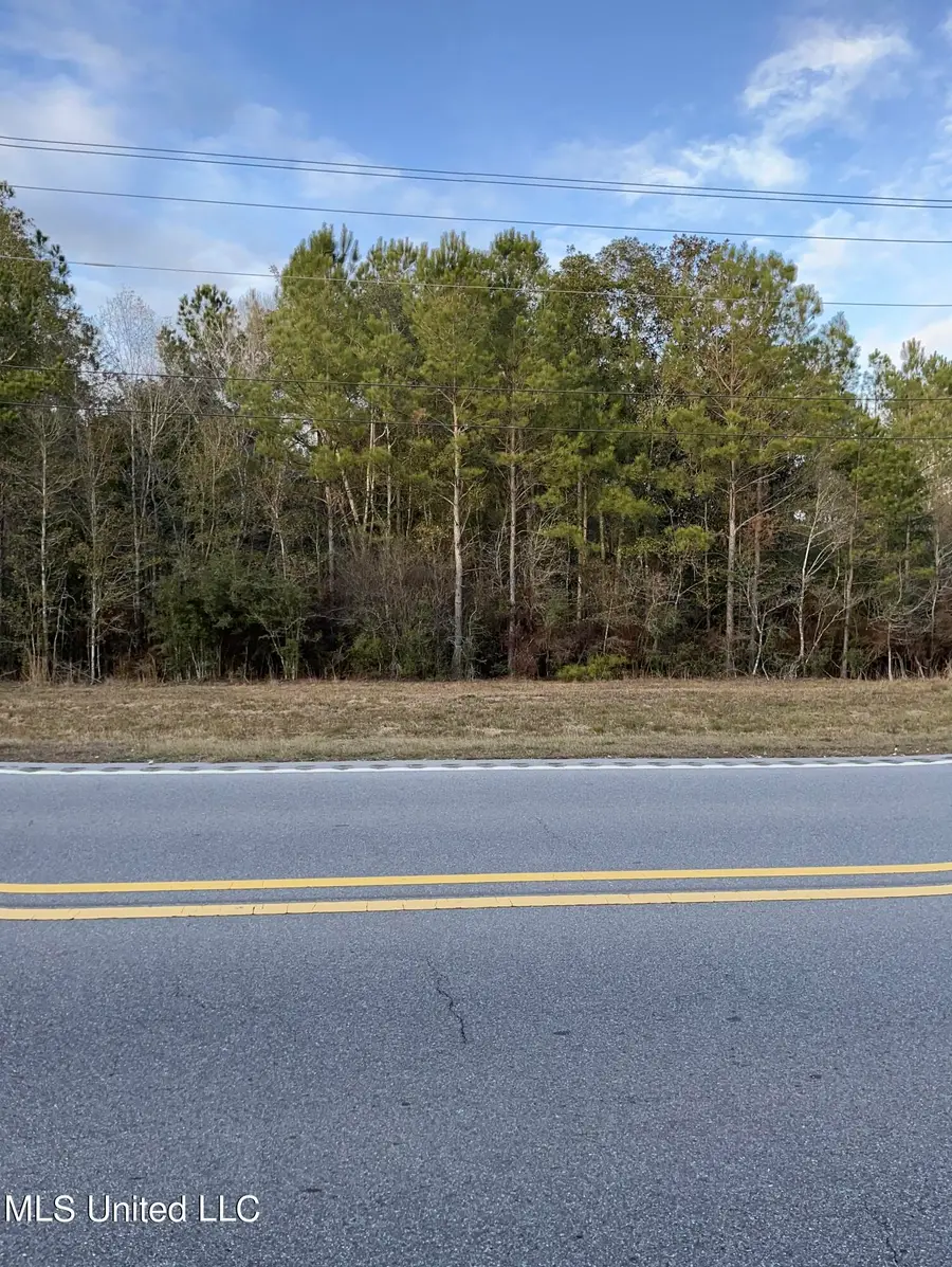 S Leetown And Highway 43 Highway, Picayune, MS 39466 - Image #2